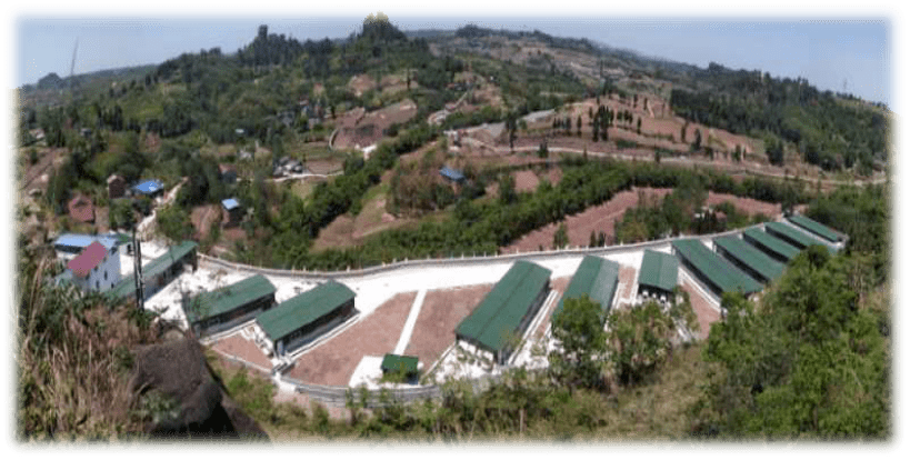 內(nèi)江醫(yī)用豬